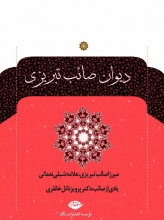 دیوان صائب تبریزی (2 جلدی)