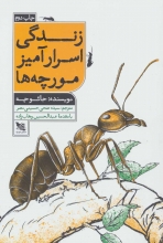 زندگی اسرارآمیز مورچه‌ها