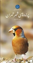 پرنده‌های شهر تهران (راهنمای میدانی)